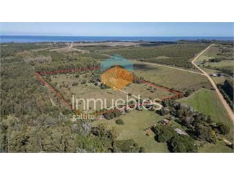 https://www.gallito.com.uy/venta-chacra-santa-lucia-del-este-inmuebles-27332094