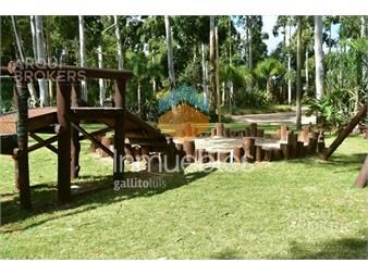 https://www.gallito.com.uy/apartamento-de-tres-dormitorios-en-alquiler-en-haras-del-la-inmuebles-27161624