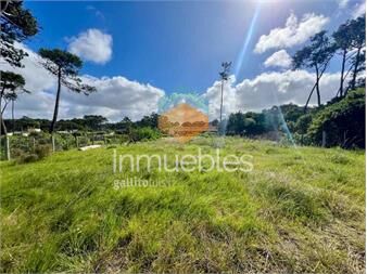 https://www.gallito.com.uy/venta-terreno-en-chihuahua-a-metros-del-mar-inmuebles-27332431