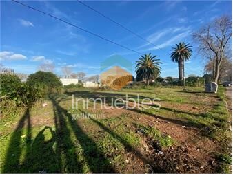 https://www.gallito.com.uy/cuatro-terreno-iguales-y-llinderos-de-450-m2-cu-inmuebles-26168468