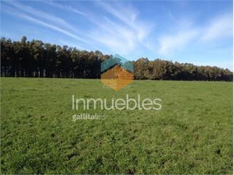 https://www.gallito.com.uy/estancia-ganadera-agricola-en-durazno-inmuebles-27332529