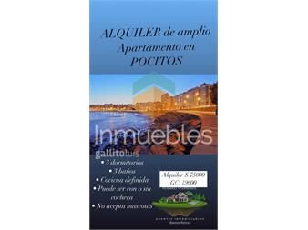 https://www.gallito.com.uy/alquiler-de-hermoso-amplio-y-apartamento-en-inmuebles-27332578