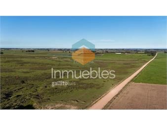 https://www.gallito.com.uy/chacra-maritima-i-maldonado-i-ha-44-ic-63-inmuebles-26199539