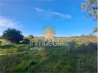 https://www.gallito.com.uy/venta-de-lote-en-eden-rock-ref-pbi14738-inmuebles-27206125