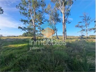 https://www.gallito.com.uy/venta-de-lote-en-eden-rock-ref-pbi14737-inmuebles-27206128