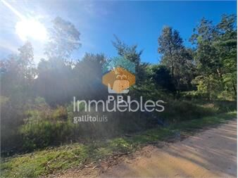 https://www.gallito.com.uy/venta-de-lote-en-eden-rock-ref-pbi14740-inmuebles-27206123