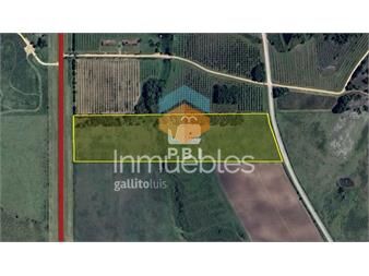 https://www.gallito.com.uy/chacra-en-venta-en-laguna-del-sauce-punta-ref-inmuebles-27336575