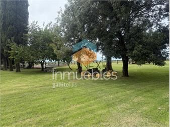 https://www.gallito.com.uy/venta-chacra-colonia-inmuebles-27336631