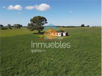 https://www.gallito.com.uy/chacra-de-54-has-en-los-cerrillos-construccion-inmuebles-27079824