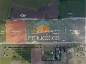 https://www.gallito.com.uy/chacra-en-progreso-3-has-sin-construcciones-8-inmuebles-27336873