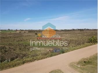 https://www.gallito.com.uy/chacra-de-3-has-zona-progreso-tajamar-dueño-6-inmuebles-27337096
