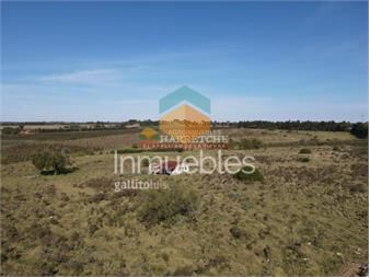 https://www.gallito.com.uy/chacra-en-progreso-3-has-con-construccion-3-inmuebles-27337150