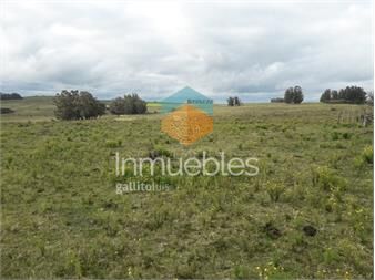 https://www.gallito.com.uy/campo-21-has-en-paraje-jose-ignacio-inmuebles-25405921