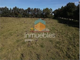 https://www.gallito.com.uy/chacra-en-progreso-3-has-en-inmejorable-1-inmuebles-27337272