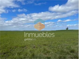 https://www.gallito.com.uy/venta-de-campo-ganadero-agricola-i-286-ha-ic-99-i-flores-inmuebles-25742902