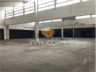 https://www.gallito.com.uy/alquiler-local-galpon-deposito-malvin-norte-veracierto-y-sp-inmuebles-27337444