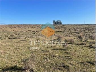 https://www.gallito.com.uy/venta-campo-ganadero-invernador-i-lavalleja-i-823-ha-ic-10-inmuebles-26039531