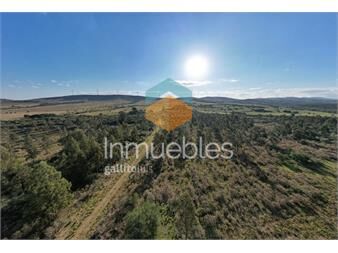https://www.gallito.com.uy/venta-campo-ganadero-forestal-maldonado-uruguay-inmuebles-27342634