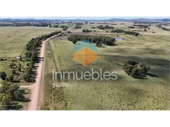 https://www.gallito.com.uy/campo-ganadero-forestal-en-minas-inmuebles-27342719