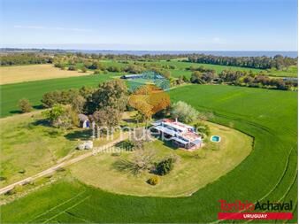 https://www.gallito.com.uy/chacra-colonia-san-pedro-campo-recreacion-productiva-inmuebles-27156179