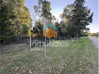 https://www.gallito.com.uy/1-laguna-de-los-patos-inmuebles-27336742