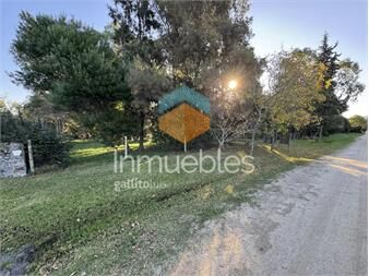 https://www.gallito.com.uy/amplio-terreno-en-zona-de-laguna-de-los-patossolar-2-inmuebles-27336743