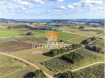 https://www.gallito.com.uy/chacra-en-venta-en-laguna-del-sauce-punta-ref-inmuebles-27336575