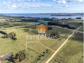 https://www.gallito.com.uy/chacra-en-venta-en-laguna-del-sauce-punta-ref-inmuebles-27342855