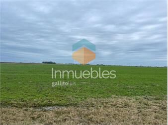 https://www.gallito.com.uy/estancia-ganadera-agricola-en-lavalleja-inmuebles-27343095