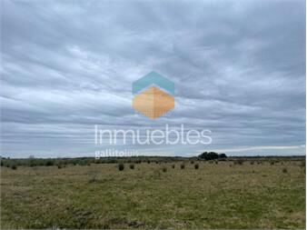 https://www.gallito.com.uy/campo-en-lavalleja-inmuebles-27342501