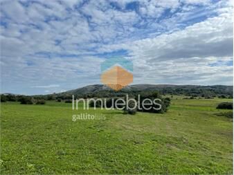 https://www.gallito.com.uy/campo-ganadero-i-760-ha-i-ic-51-inmuebles-26039850