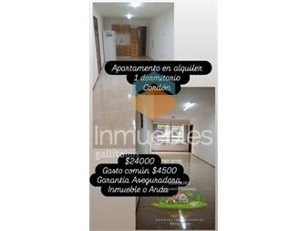 https://www.gallito.com.uy/alquiler-de-apartamento-en-cordon-1-dormitorio-inmuebles-27347031