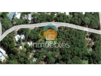 https://www.gallito.com.uy/terreno-en-venta-en-portezuelo-bosque-punta-inmuebles-27347134