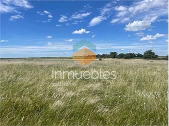 https://www.gallito.com.uy/campo-ganadero-en-paysandu-inmuebles-26551222