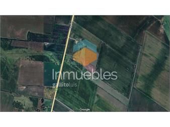 https://www.gallito.com.uy/chacra-de-10has-a-5km-de-carmelo-inmuebles-27342737