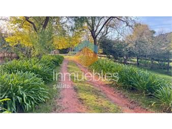 https://www.gallito.com.uy/campo-de-4-has-1602-m2-muy-cerca-de-ruta-12-y-la-inmuebles-27347647