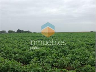 https://www.gallito.com.uy/establecimiento-agricola-ganadero-inmuebles-27347763