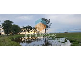 https://www.gallito.com.uy/en-venta-campo-en-treinta-y-tres-ubicado-a-12-de-inmuebles-25273367