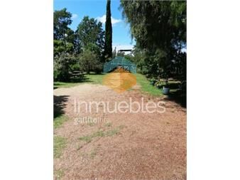 https://www.gallito.com.uy/venta-chacra-3-5-ha-salinas-usd215000-inmuebles-24782652