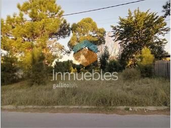https://www.gallito.com.uy/venta-terreno-en-el-pinar-inmuebles-25553327