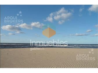 https://www.gallito.com.uy/chihuahua-terreno-esquina-en-calle-principal-cerca-de-to-inmuebles-24668311