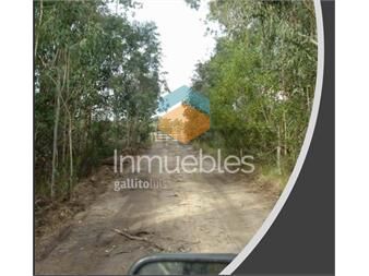 https://www.gallito.com.uy/venta-de-exclusivo-terreno-mas-chacra-117-hectareas-en-la-inmuebles-27352043