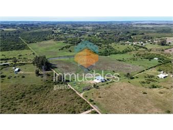 https://www.gallito.com.uy/venta-de-hectareas-campo-en-las-brujas-canelones-inmuebles-27352489
