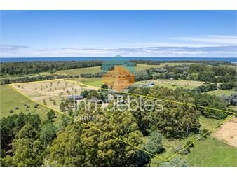 https://www.gallito.com.uy/chacra-en-la-carolina-punta-ballena-ref-inmuebles-24832126