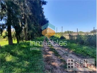 https://www.gallito.com.uy/muy-linda-chacra-de-5-5-has-en-venta-proximo-a-osvaldo-rodr-inmuebles-24233266