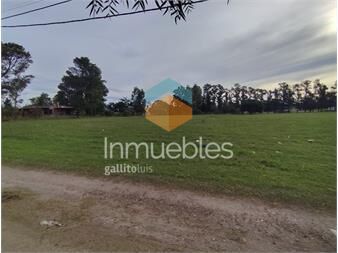 https://www.gallito.com.uy/gran-terreno-sobre-ruta-3-inmuebles-27352695