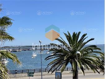https://www.gallito.com.uy/apartamento-en-punta-del-este-puerto-inmuebles-24296716