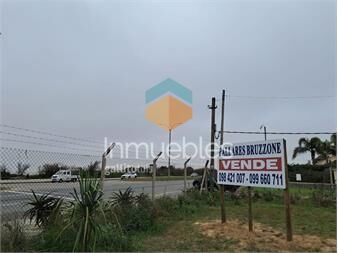 https://www.gallito.com.uy/rambla-t-berreta-esq-french-ultimo-predio-disponible-sin-inmuebles-25979071