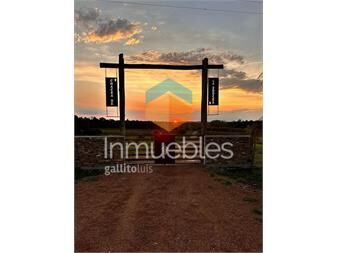 https://www.gallito.com.uy/chacra-venta-en-piedras-de-afilar-inmuebles-25410084