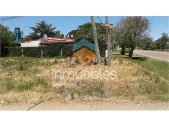 https://www.gallito.com.uy/pronto-para-construir-a-dos-cuadras-de-la-playa-inmuebles-24867541